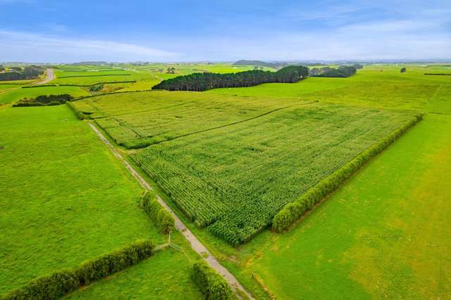 41a Ball Road Kakaramea_2