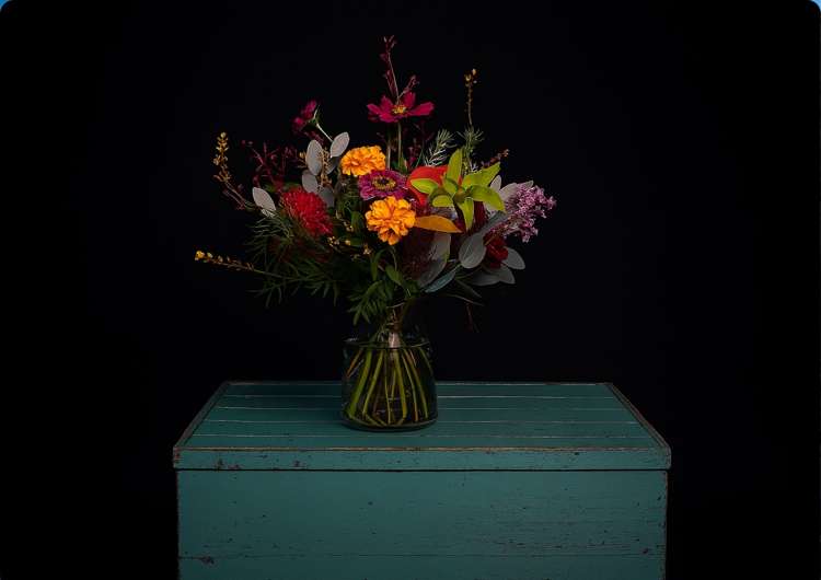 Address withheld Christchurch Surrounds_1