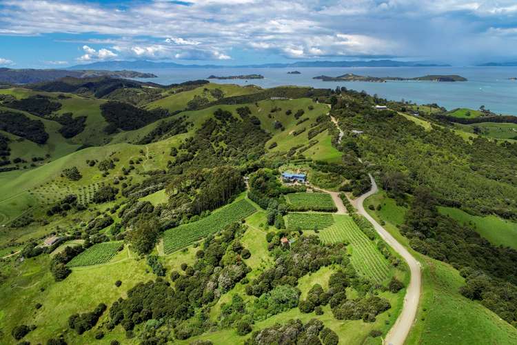 31 Cowes Bay Road Waiheke Island_18