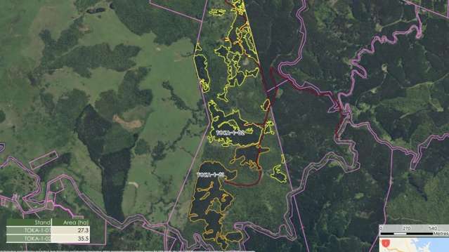 Awarua Piece of Paradise