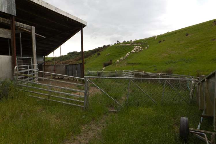 14 Railway Street Kakapuaka_34