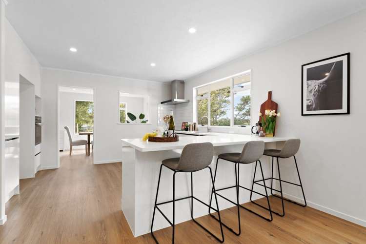 37 Green Road Dairy Flat_17
