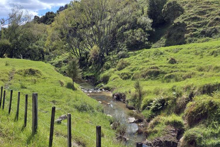 632 Marlow Road Maromaku_23