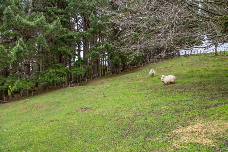 231 North Road Eketahuna_19