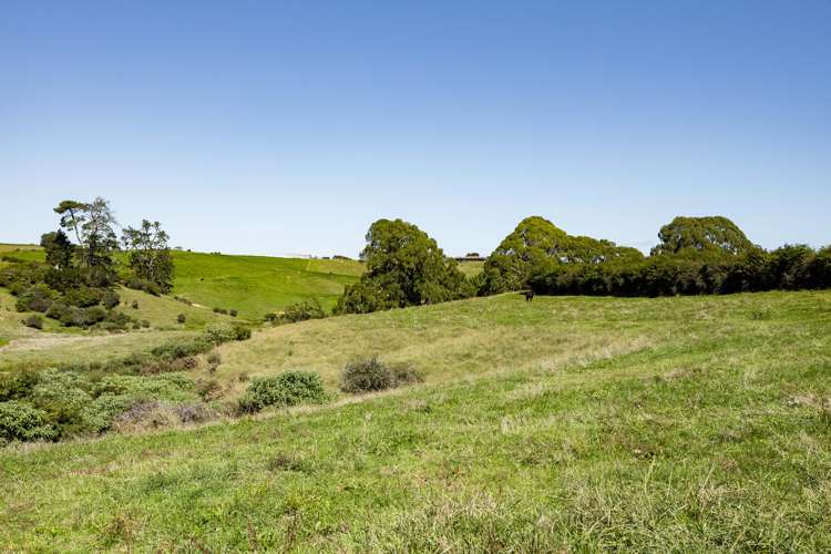 679 State Highway 23 Whatawhata_6