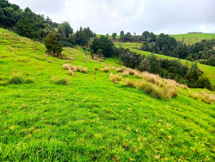 Lot 1 & 3 Fisher-Riley Road Kaitaia_12