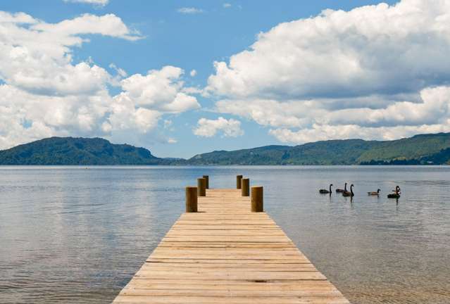 919D State Highway 30 Rotoiti_3