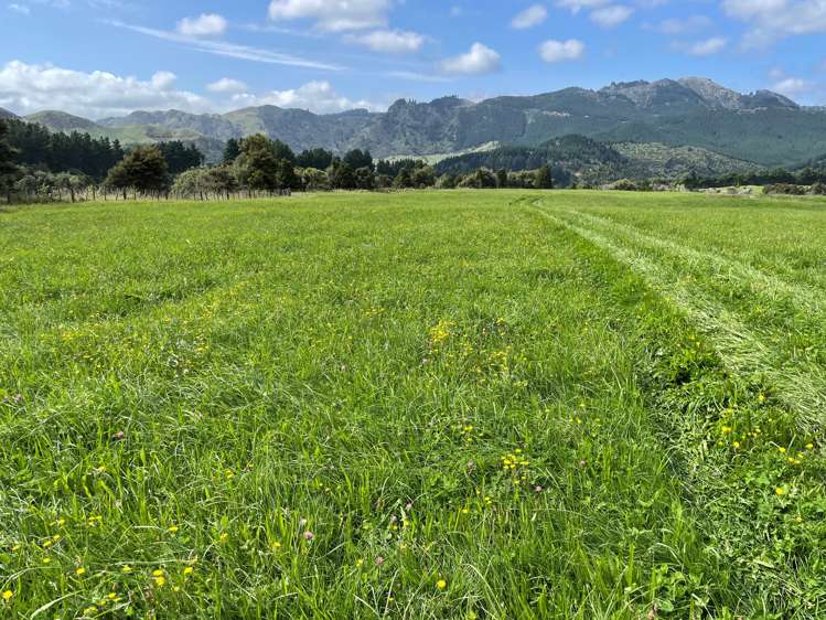 1405 Mangleton Road Central Hawkes Bay Country_14