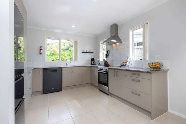 46b Roick Parade Glen Eden_11