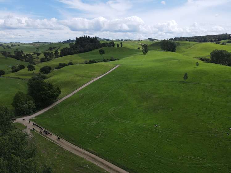 110 Stringers Road Putaruru_24