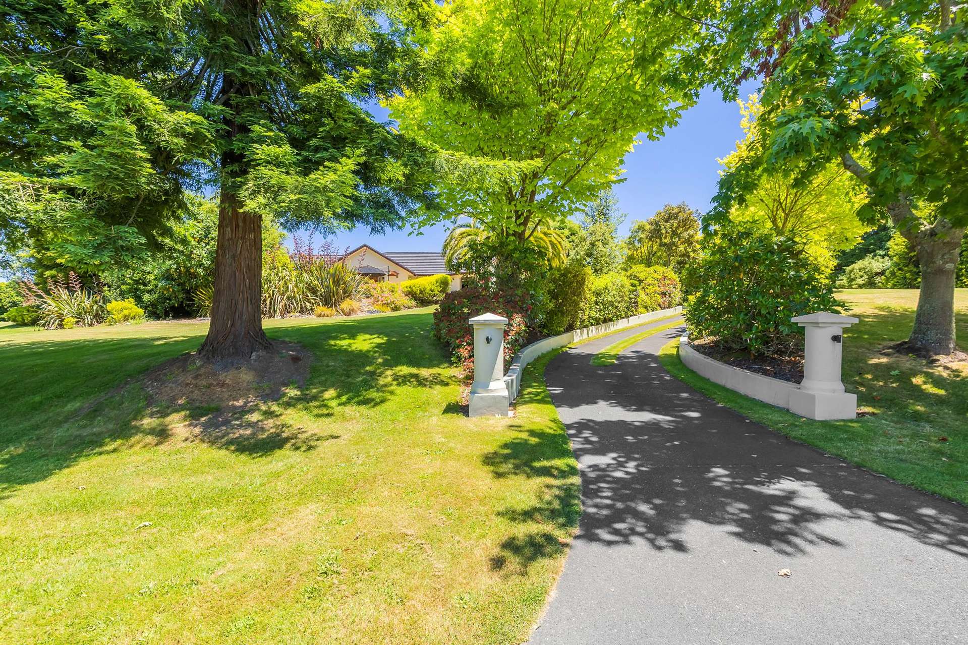 101 Clearwater Lane Rangatira Park_0