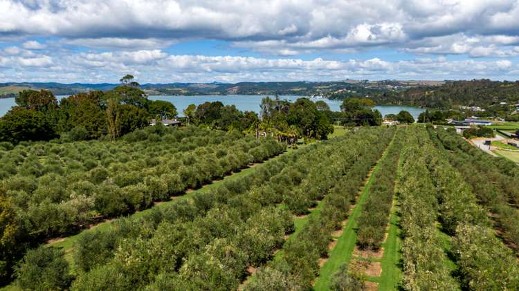 478 Hihi Road Mangonui_30