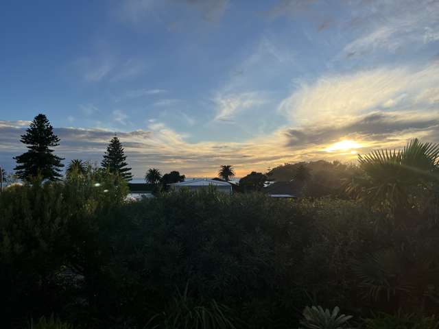 6 Rita Street - Includes Lawns and Gardens Mount Maunganui_4