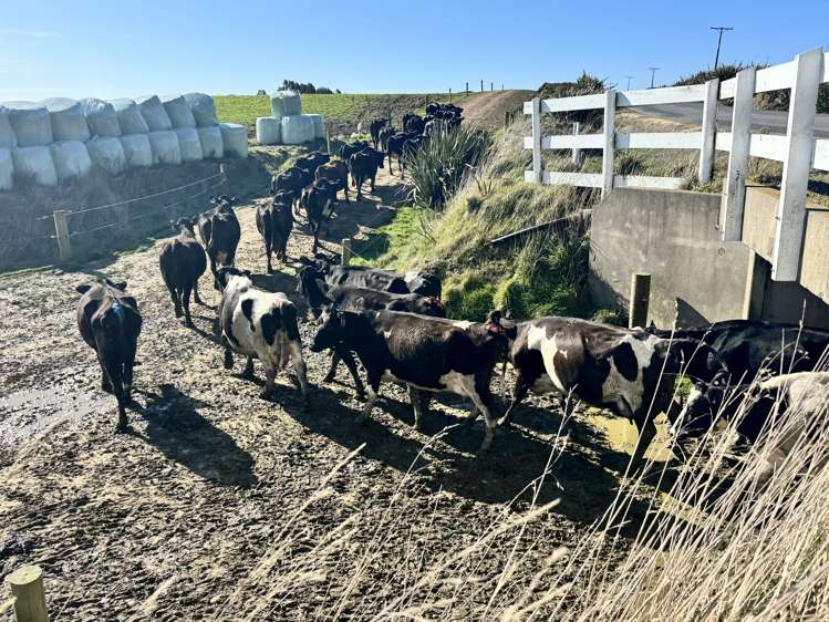 Hillend Road and Falla Burn Road Hillend_10
