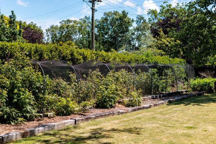 60 Colemans Road Springlands_24