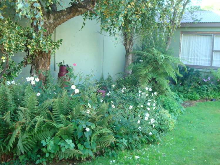 43 Maunsell Street Woolston_20