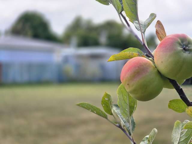 510a Wellington Road Marton_4