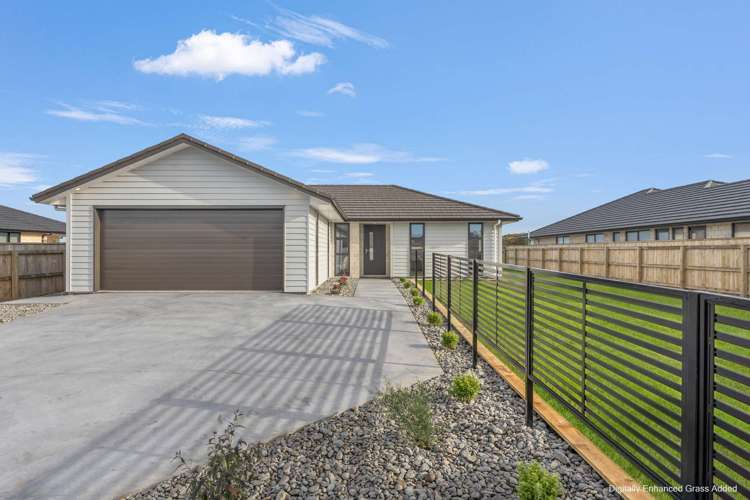 53 Tawhero Street Gonville_23