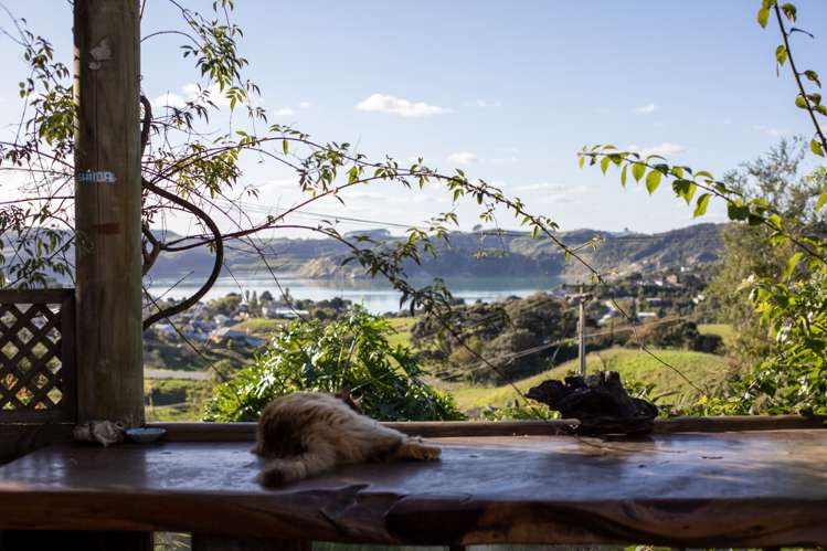 18 Cornwall Road Raglan_12