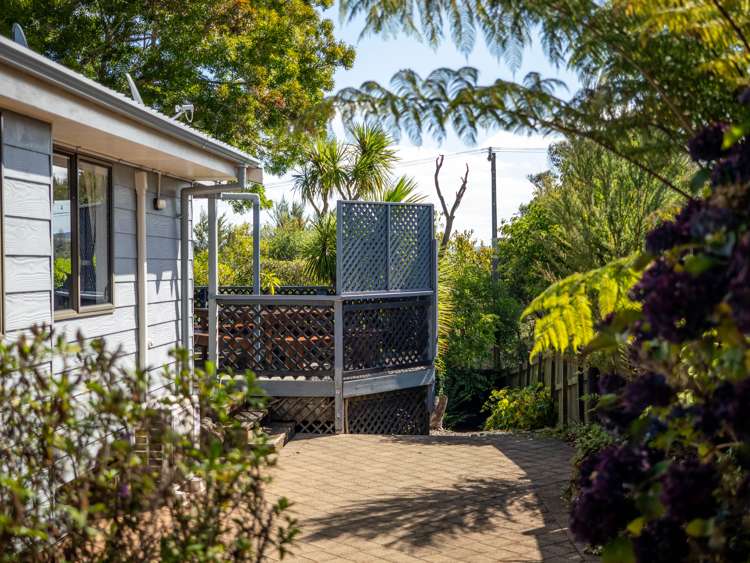 7 Johnson Lane Haruru_23