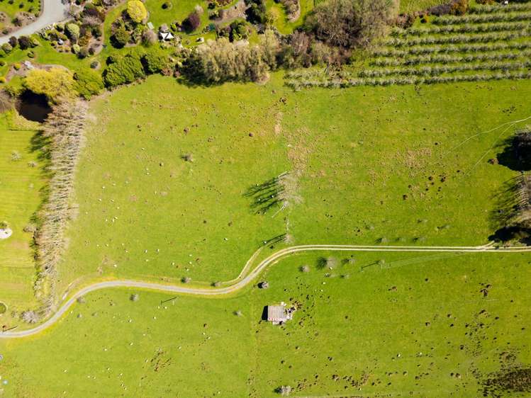 12 Pukeko Lane_2