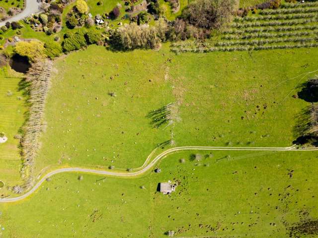 12 Pukeko Lane Redwood Valley_2