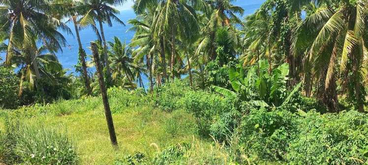 LOT 3 Korovesi Savusavu_1