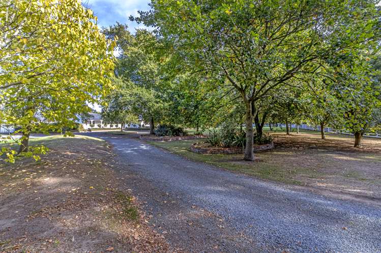 1195 Hoskyns Road Kirwee_38