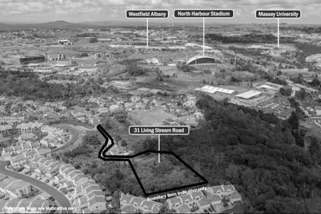 31 Living Stream Road Albany Heights_3