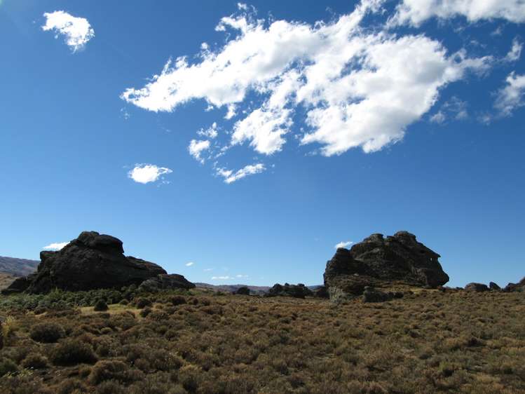 Conroys Road Alexandra_3