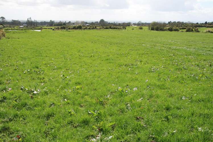 1996 Egmont Road Inglewood_16