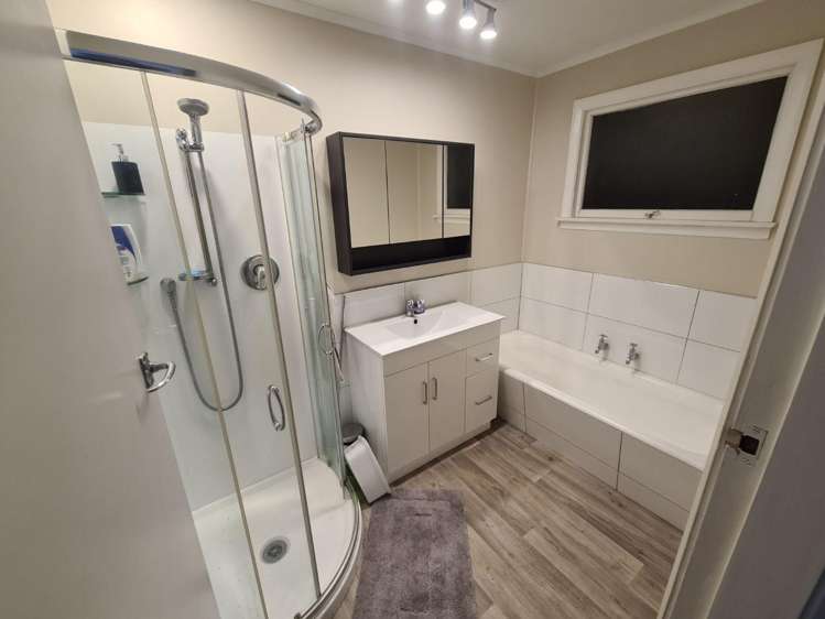 109 Thomson Street 1558_5