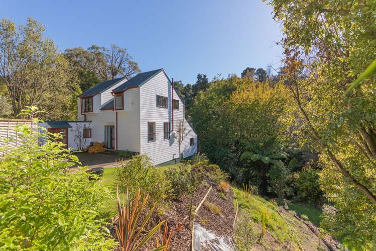 29 Durie Vale Road Durie Hill_0