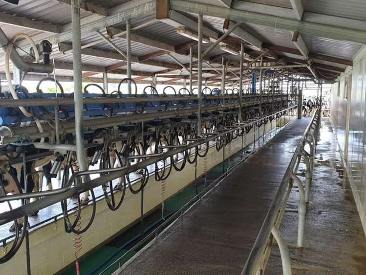 783 Waihekau Road Waitoa_5