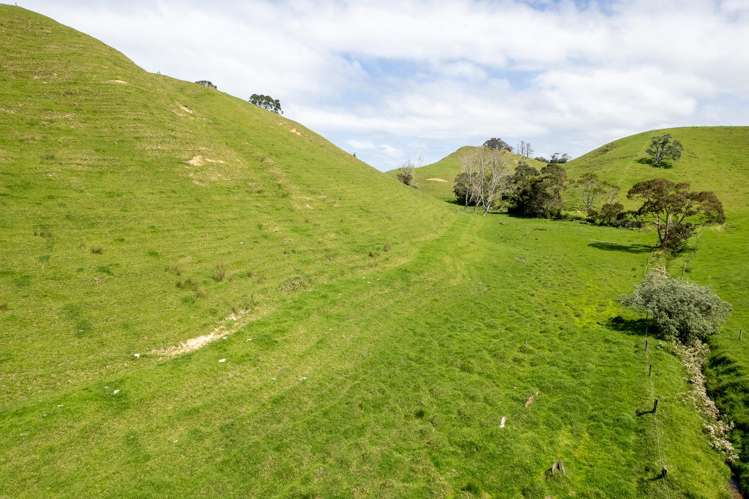 Lot 1 Rockell Road Whananaki_11