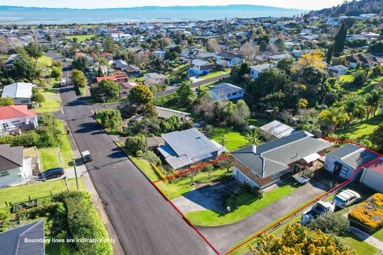 803 Richmond Street Thames_1