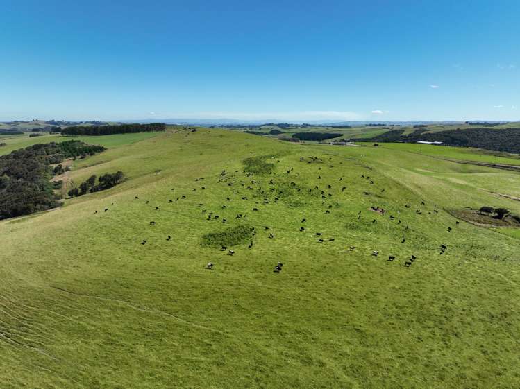 548 Mitchell Road Glenham_8