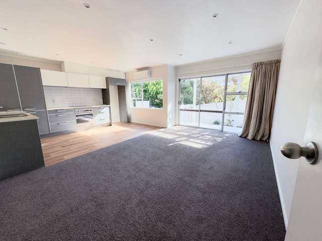29E Amy Street Ellerslie_2