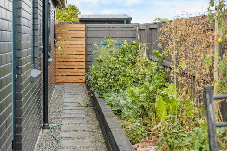 7 Otohikawa Avenue Glenbrook_18