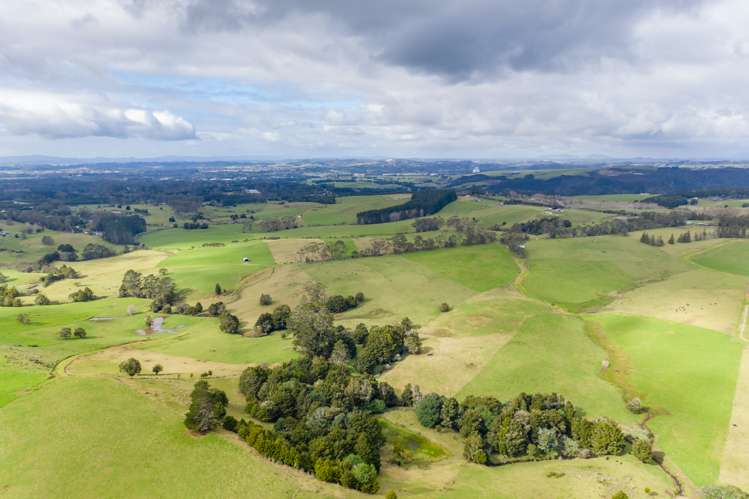 460 Pungaere Road Kerikeri Surrounds_16