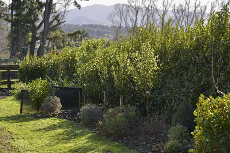 112B Kent Street Carterton_18