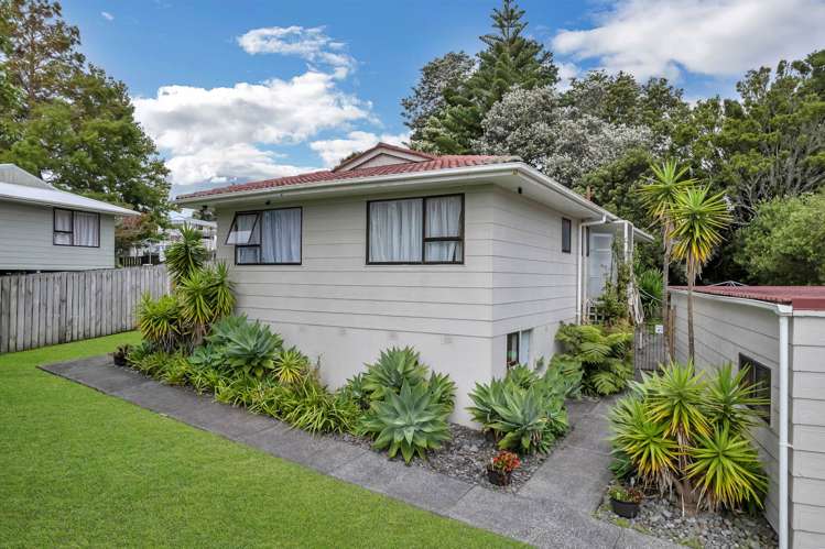 48 Fitzherbert Avenue West Harbour_25