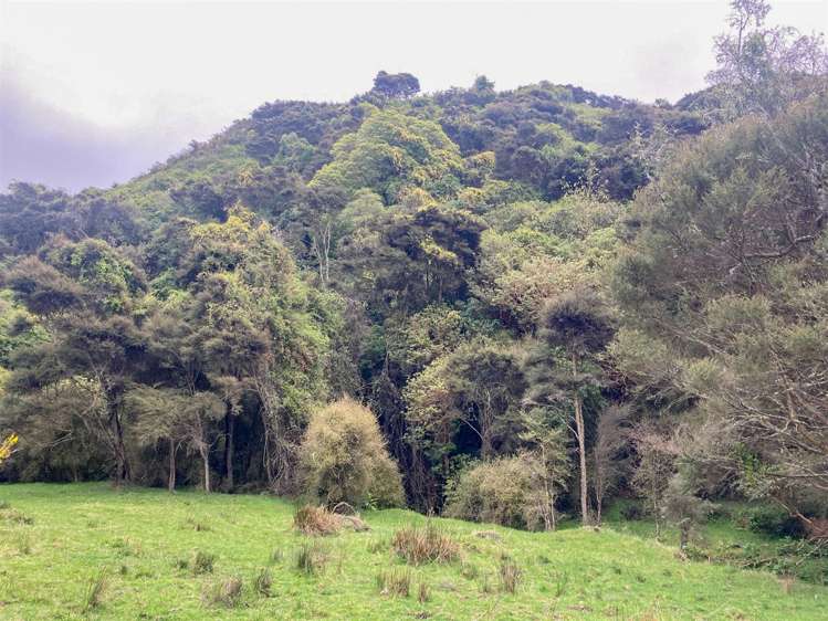 Duncan Road Hampden_6