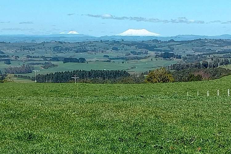 373 Pekanui Road_5