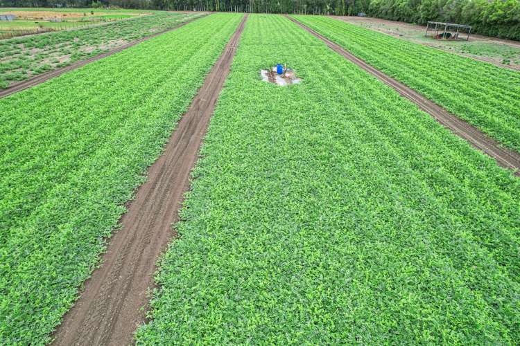 444 Paton Road Hope_10