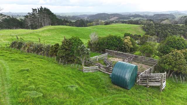 Williamson Road Wellsford_3