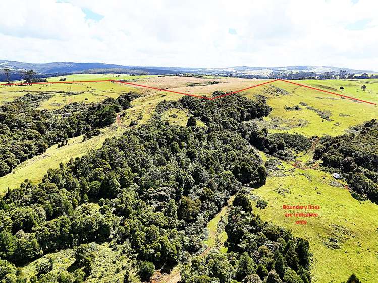 870 Marlborough Road Dargaville Surrounds_12