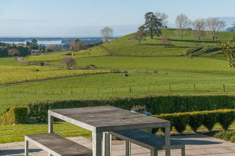 321 Ross Road Whakamarama_2