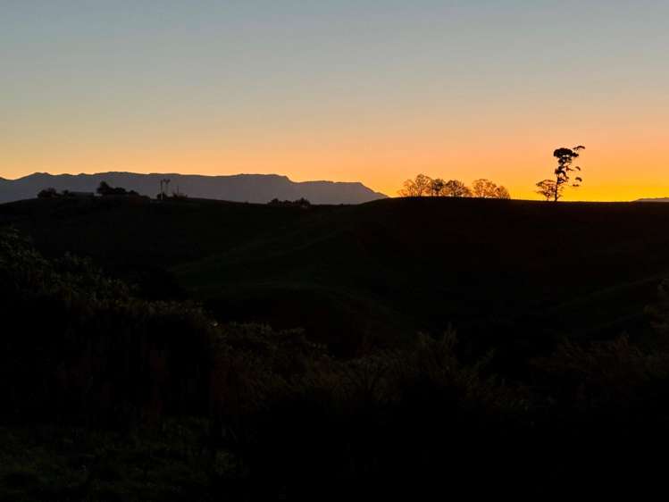 152 Turner Road Whakamarama_11