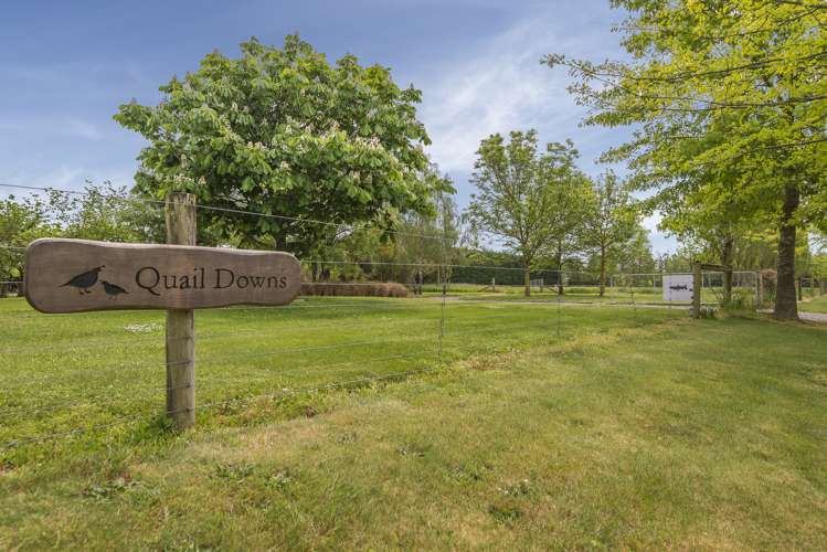 108 Mandalea Road Ohoka_19